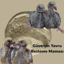 Mammamiamix Güvercin El Besleme Maması 1 Kg