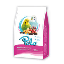 Polo Meyve Aromalı Muhabbet Yemi 400Gr