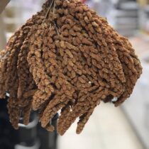 1 kg Tilki Kuyruğu İri Boy Daldarı