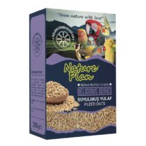 Nature Plan Delicious Serisi Soyulmuş Yulaf 250 gr