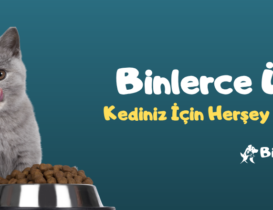 Kedi Slider