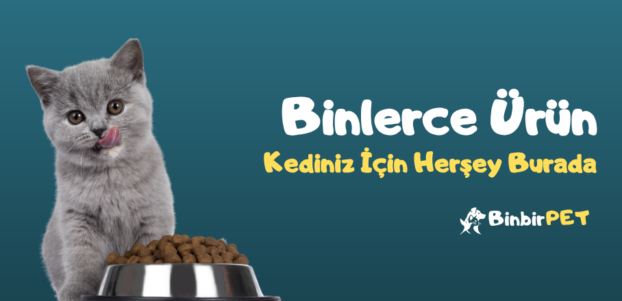 Kedi Slider