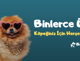 Köpek Slider