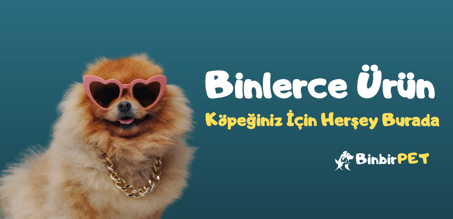 Köpek Slider