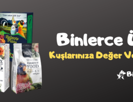 Kuş Slider