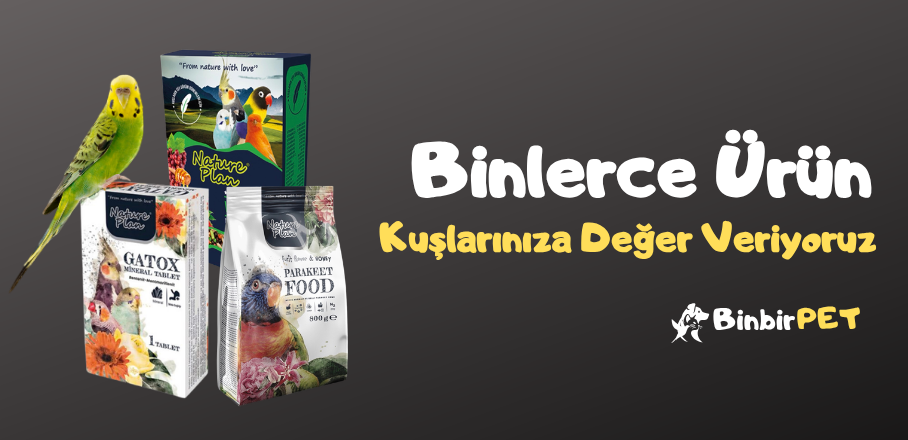 Kuş Slider