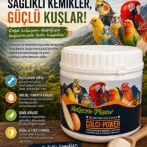 Calci Power Toz Kalsiyum Ve Mineral Takviyesi 500 Gr